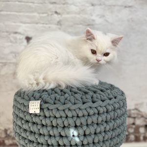 The Cat Tail Stool ♡ - Image 12