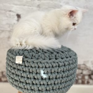 The Cat Tail Stool ♡ - Image 11