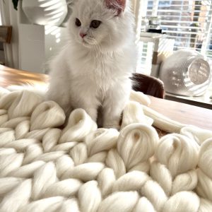The XXL Merino Couch Fur-rend ♡ - Afbeelding 15