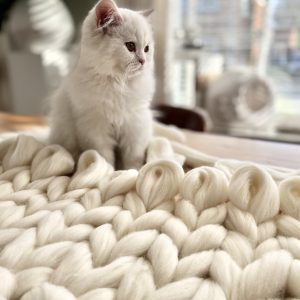The XXL Merino Couch Fur-rend ♡ - Afbeelding 14