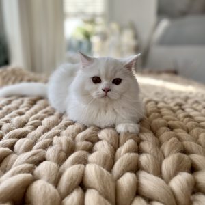 The XXL Merino Couch Fur-rend ♡ - Afbeelding 13