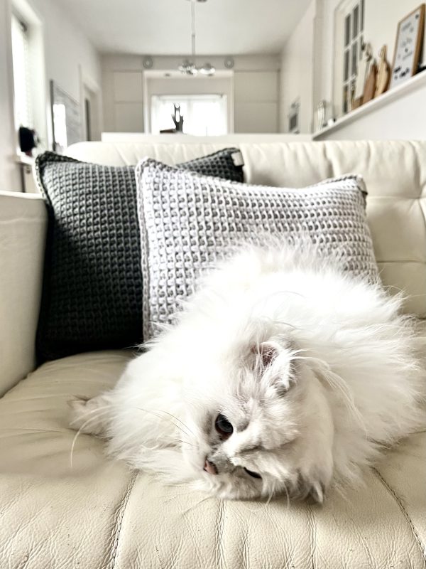 The Couch Cushion ♡ - Afbeelding 7